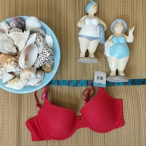 Lily of France underwire t-shirt bra red